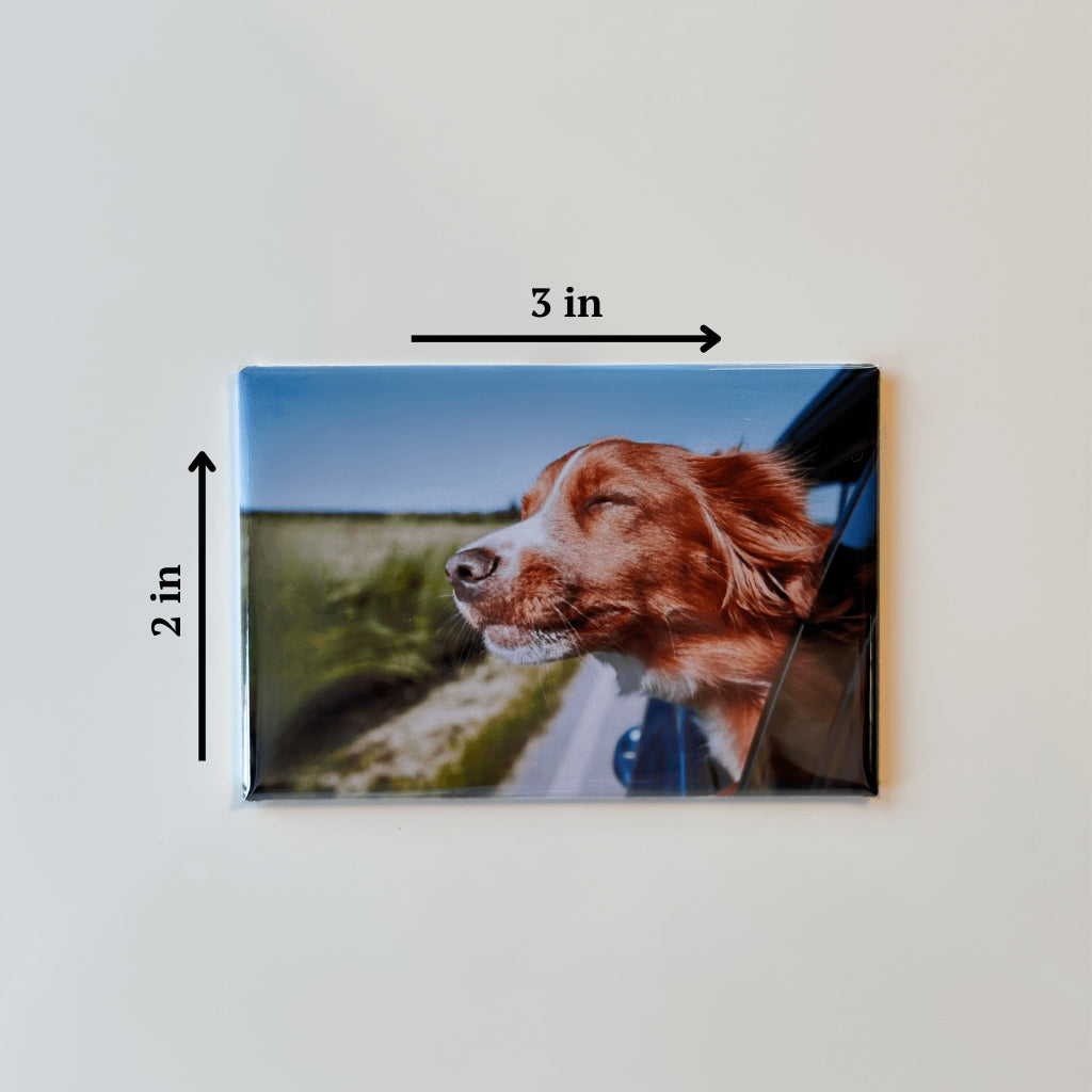 2x3 custom photo magnet rectangle size personalized magnet