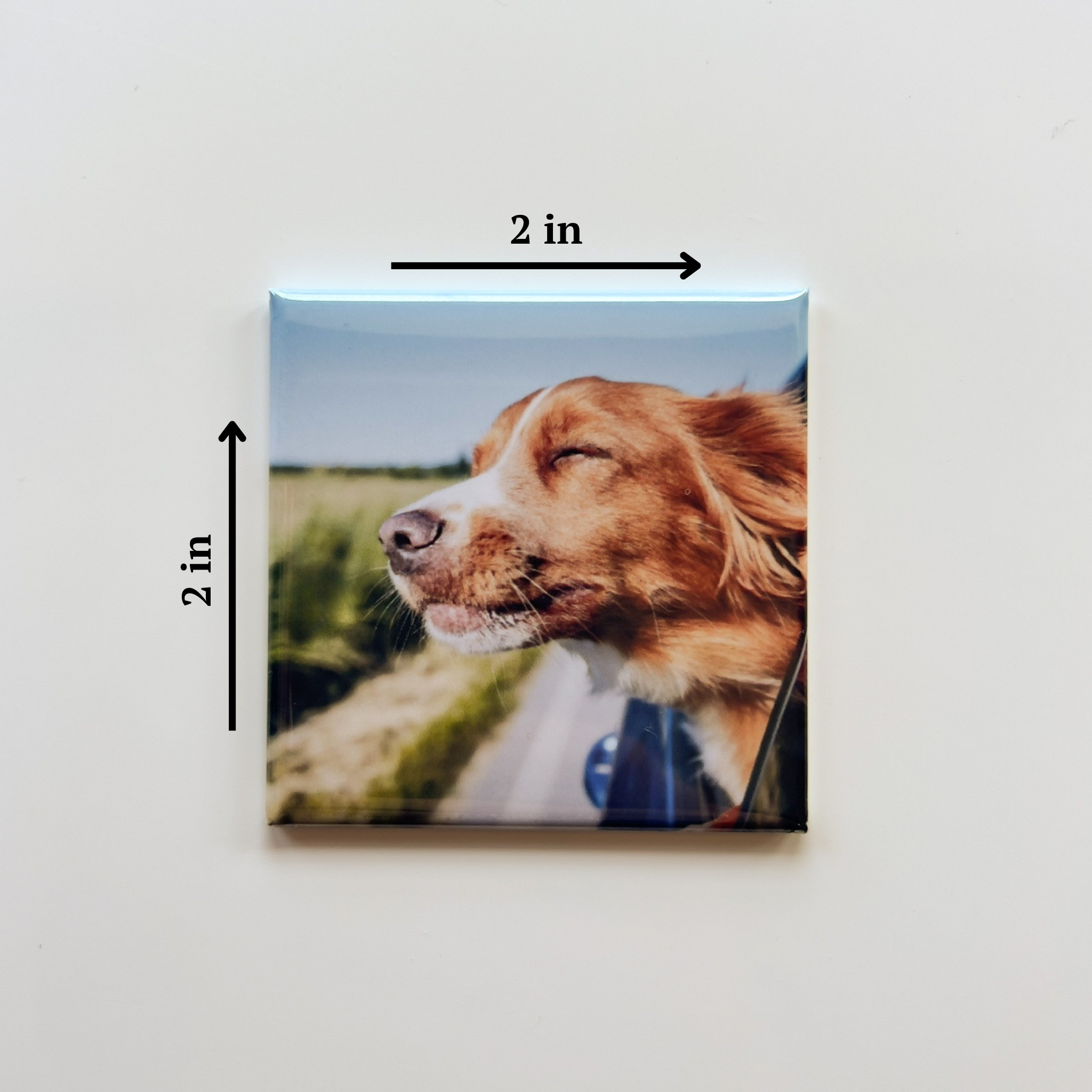 Custom Photo Magnets (9 Photo Bundle)