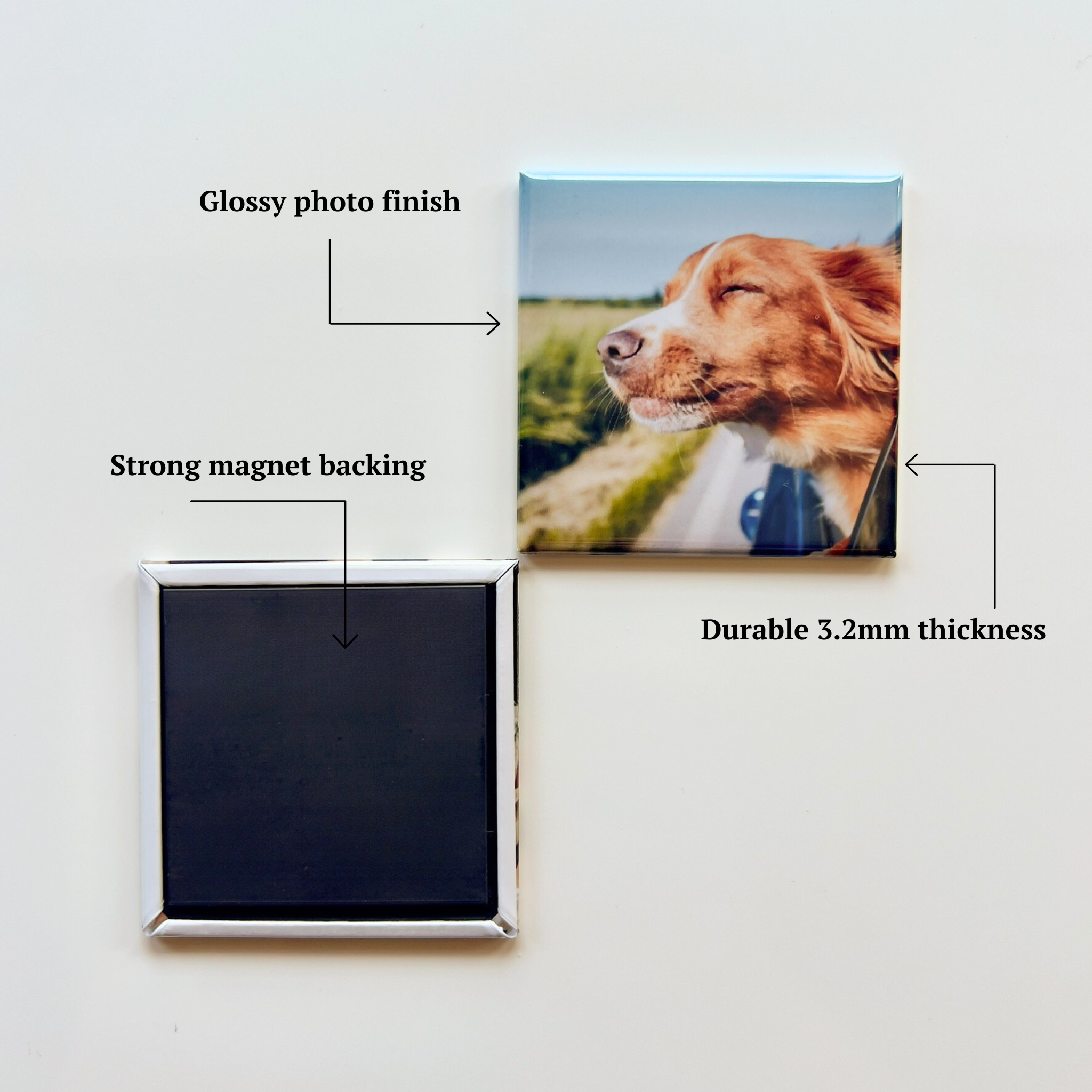 Custom Photo Magnets (9 Photo Bundle)
