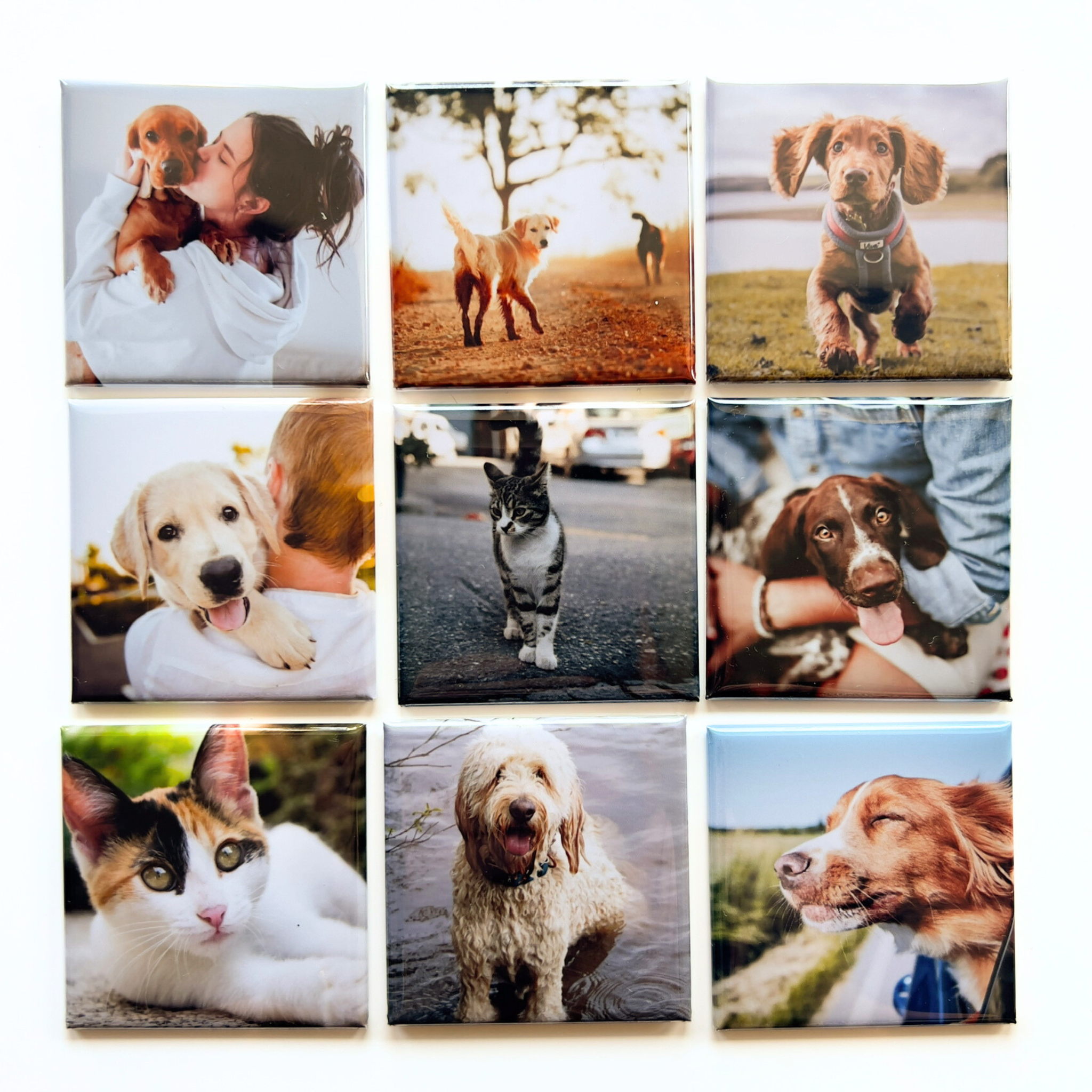 pet photo magnets 2x2 square custom dog and cat pictures